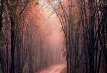 湖人媒体：詹姆斯本场赛后将不会接受媒体采访.