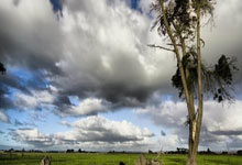 PG模拟器官网：韩K联前瞻：济州国脚级中场即插即用，水原新外援卢安火速融入.