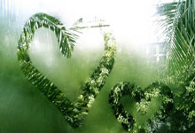 PG模拟器官网：三菱电机杯：雄狮主场迎战越南 双管齐下防范拉斐尔森.