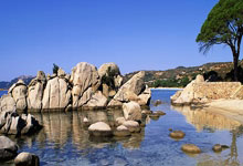 斯诺克——世界大奖赛：袁思俊不敌罗伯.